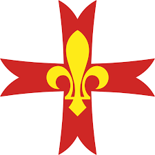 IT SCOUT GLOBAL